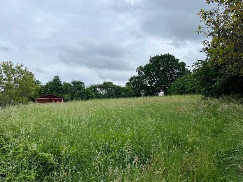 Grundstück zu verkaufen in Falkenberg 245.000 € 9737 m²