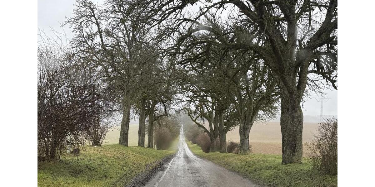 Gewerbeobjekt Sinsheim - 3.500&euro; | Angebot:25794853