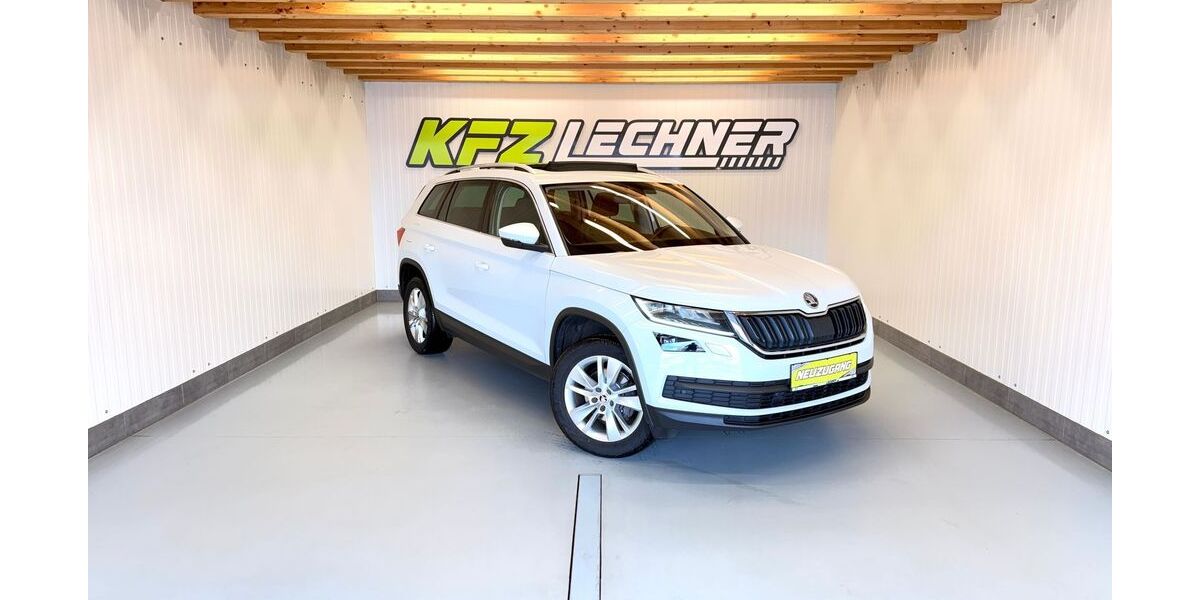 Skoda Kodiaq 111.100 km 23.950 &euro; Neuhaus am Inn 94152