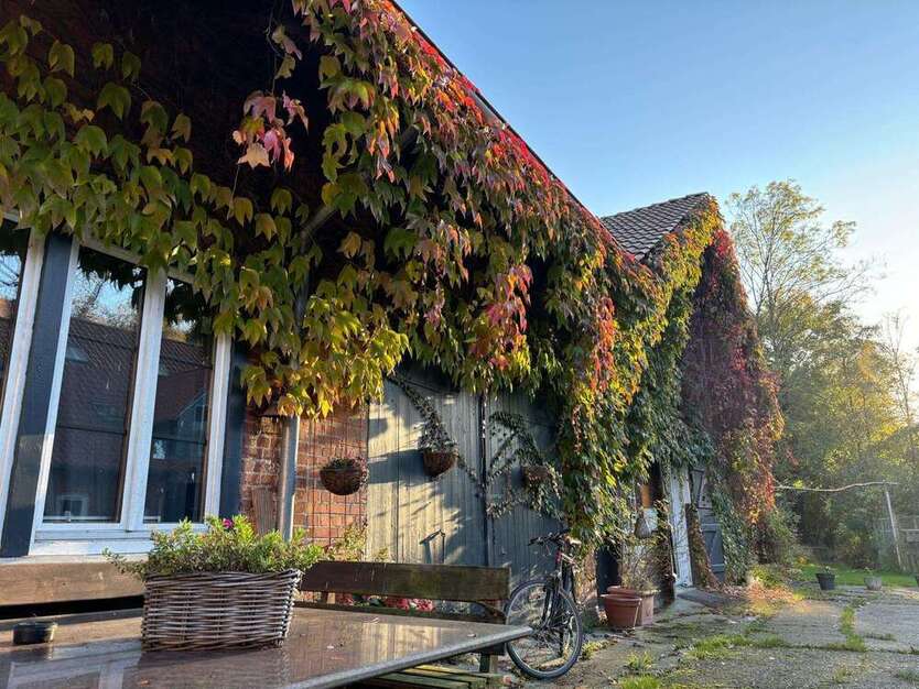 Halle in Hamburg 950 € 100 m²