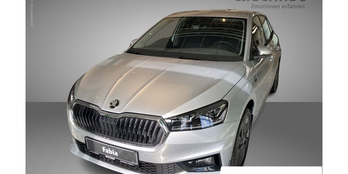 Skoda Fabia 8.900 km 23.950 € Eisenach 99817