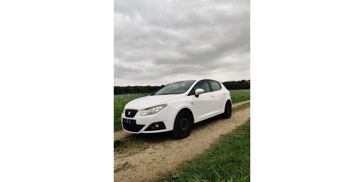 Seat Ibiza 177.000 km 3.700 &euro; Esslingen 73728