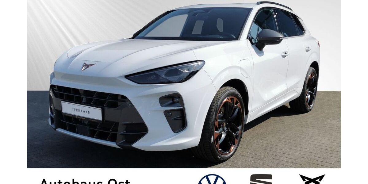 Cupra Terramar 17.900 km 44.880 &euro; Kiel 24148