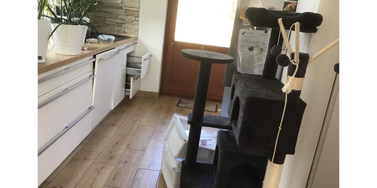 Einfamilienhaus Lützelbach - 5 Zimmer, 104 m&sup2;, 1.450&euro; | Angebot:26127323