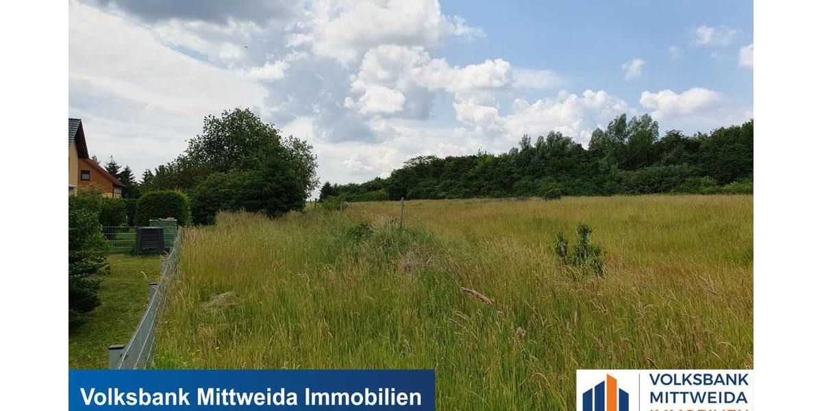 Großes Grundstück mit Planung für 17 EFH in gefragter Lage! - Grundstück Hainichen | Angebot:16251757