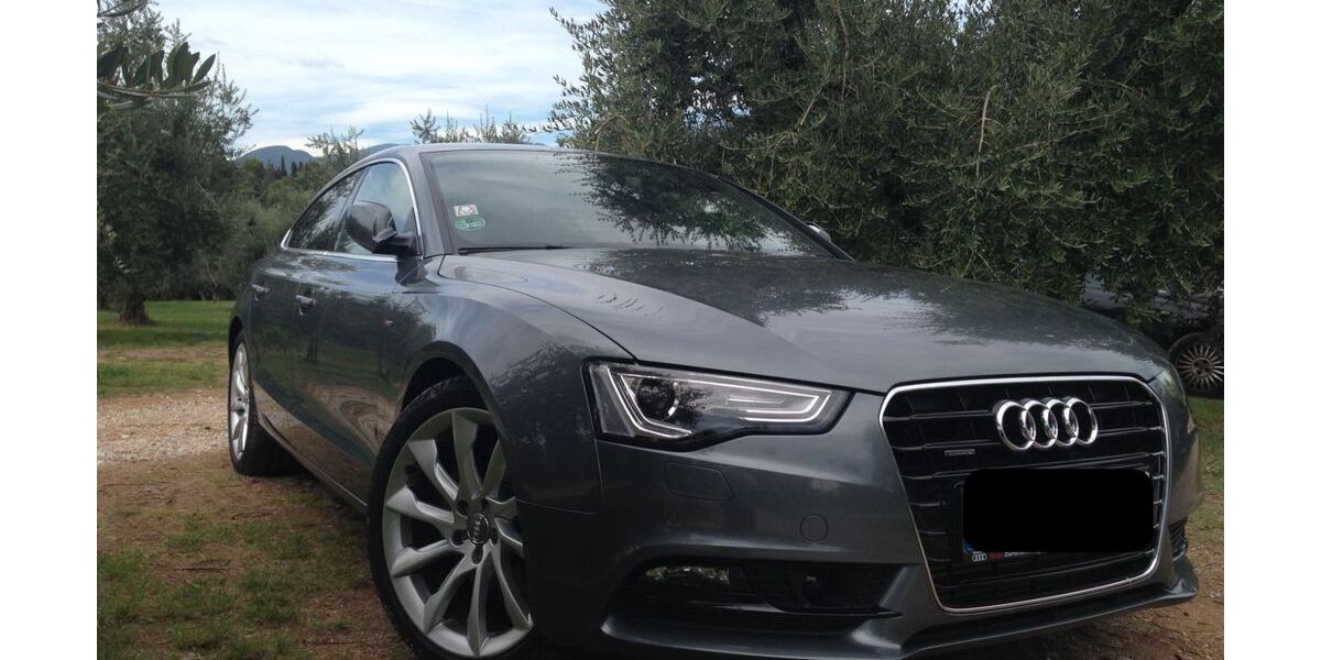 Audi A5 175.000 km 15.699 &euro; Magdeburg 39104