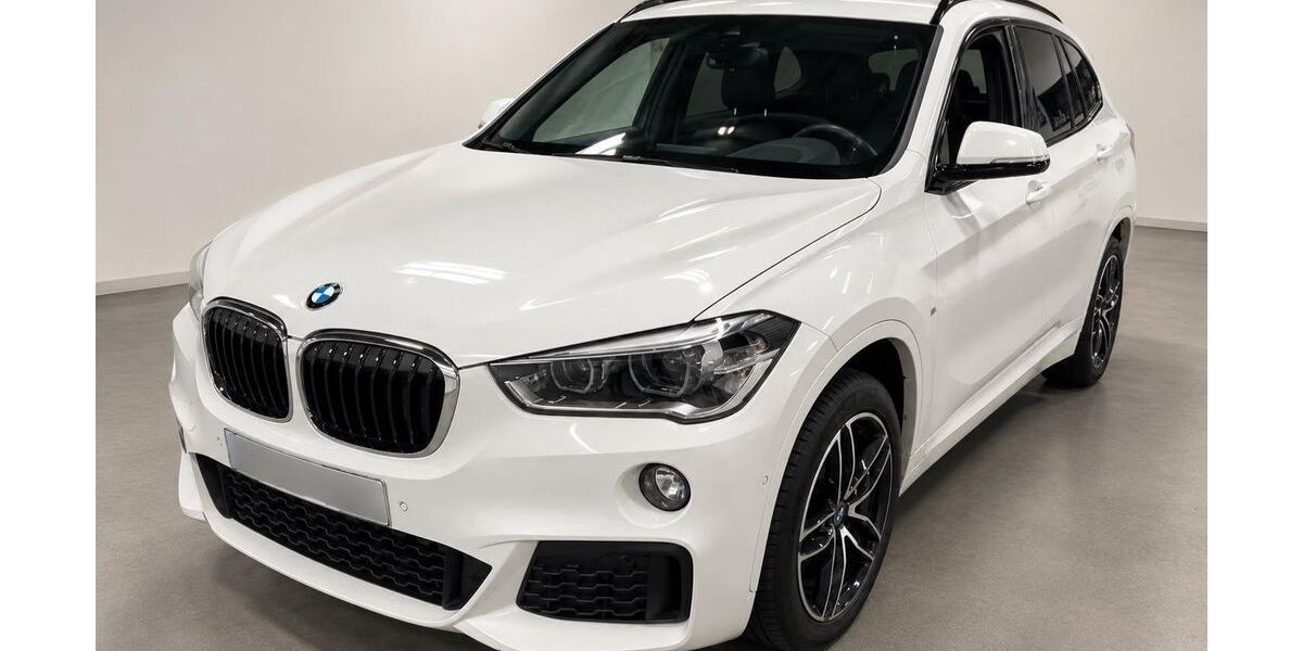 BMW X1 134.000 km 19.990 &euro; Peine 31226