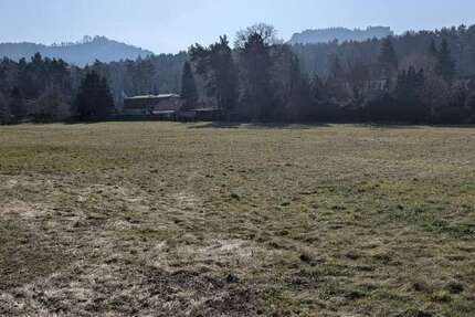 Grundstück Gohrisch - 180.000&euro; | Angebot:25542527