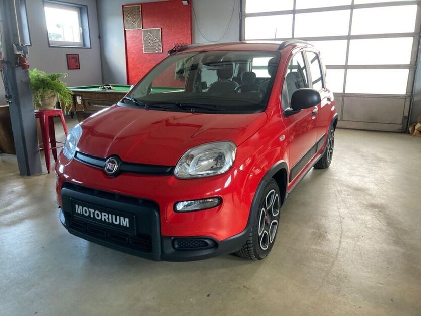 Panda