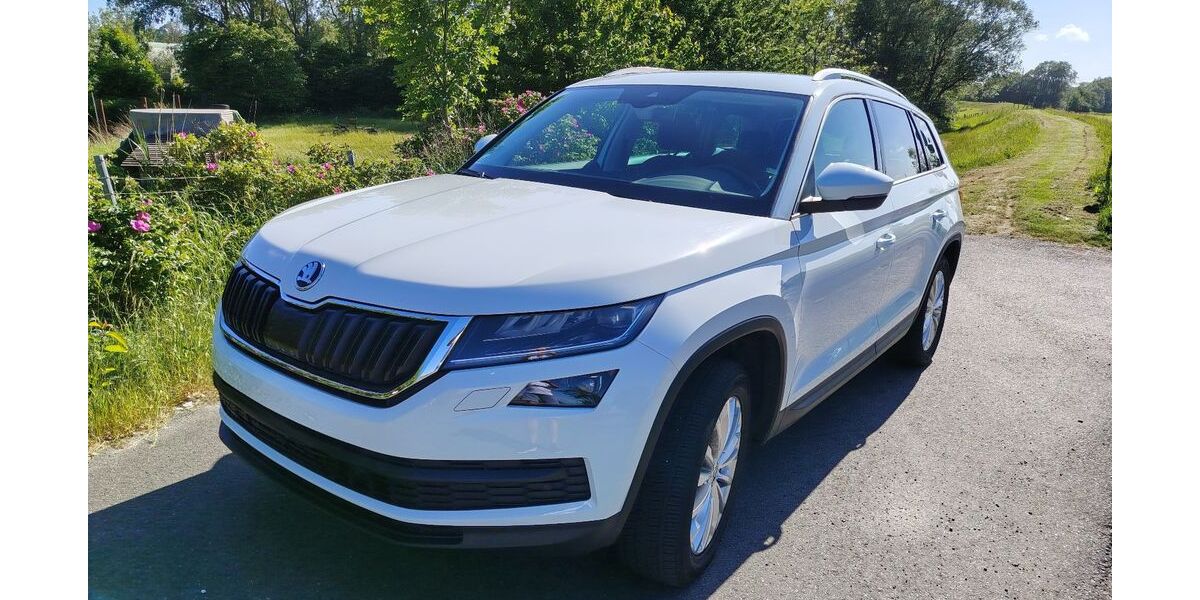 Skoda Kodiaq 138.600 km 19.900 &euro; Neuhaus Oste 21785