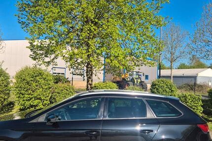 Seat Leon 198.595 km 9.749 &euro; Celle 29225