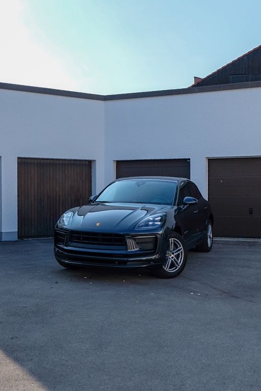 Macan