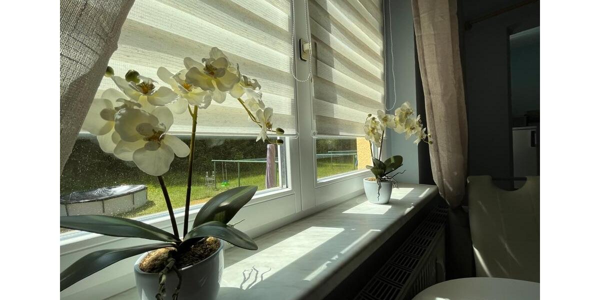 Erdgeschoßwohnung Altenberg - 1 Zimmer, 26 m&sup2;, 50.000&euro; | Angebot:26122029