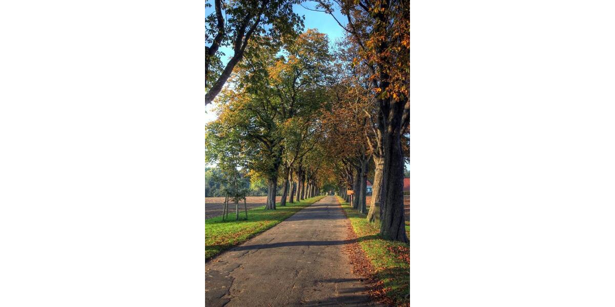 Freistehendes Einfamilienhaus mit großem Garten und Kamin 6 zimmer