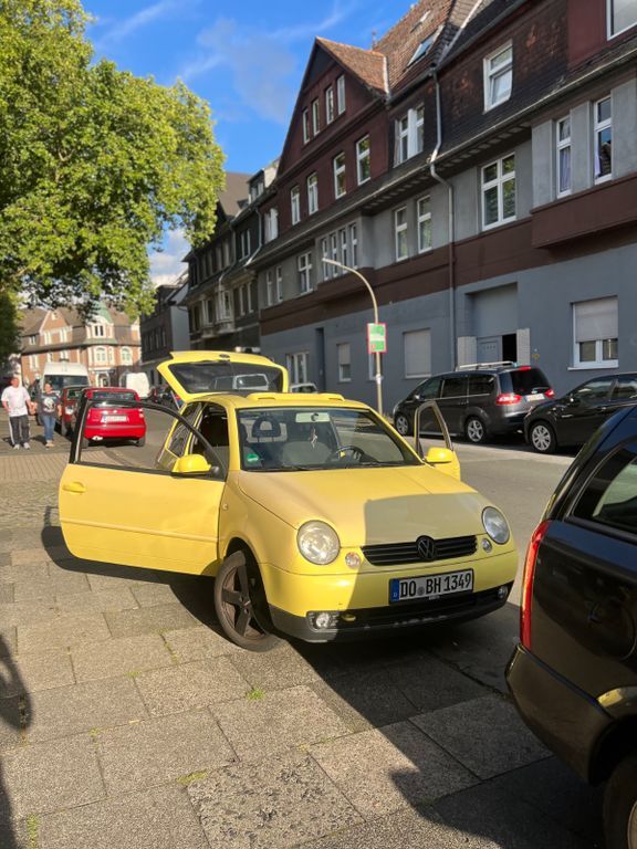 Lupo