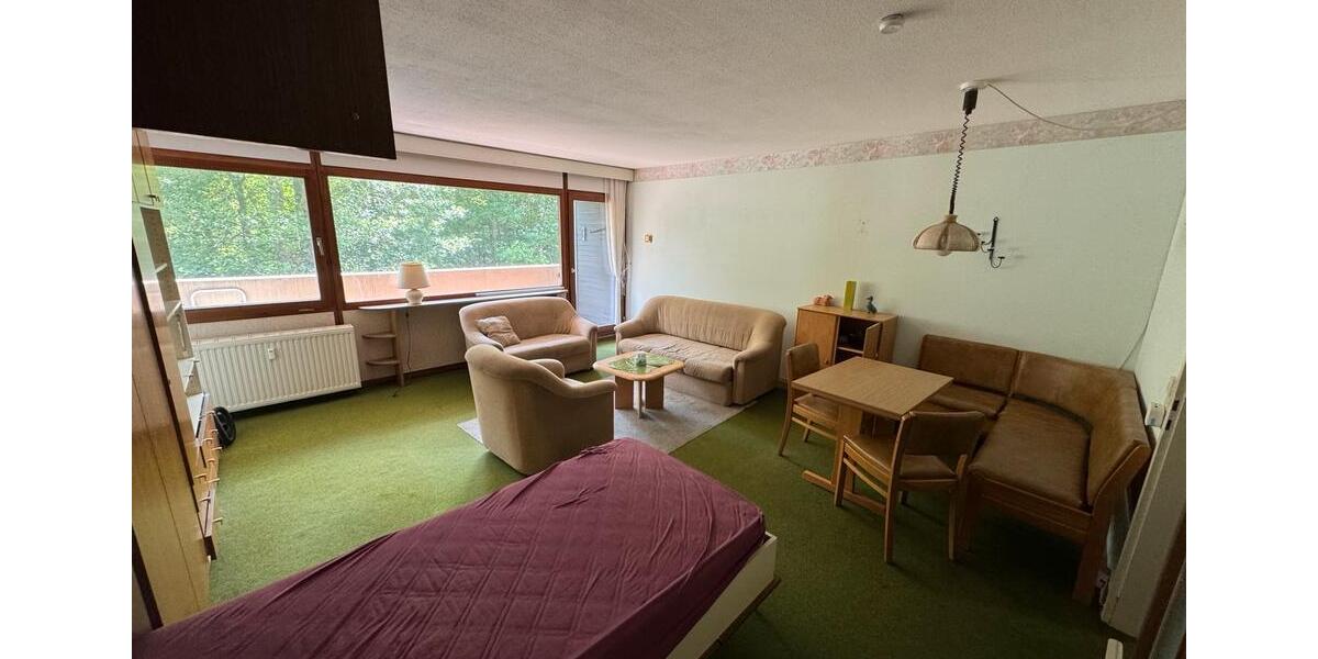 Etagenwohnung Freudenstadt - 1 Zimmer, 44 m&sup2;, 70.000&euro; | Angebot:26821804