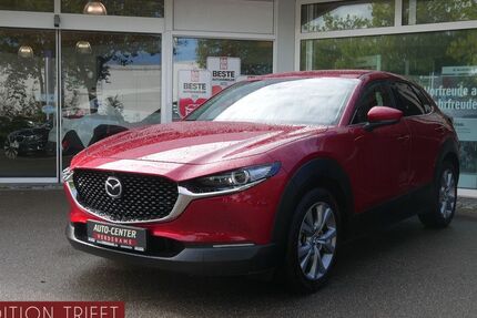 Mazda CX-30 14.000 km 22.990 € Memmingen 87700