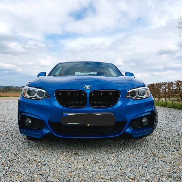 BMW 228 115.000 km 18.000 € Bayerbach 94137