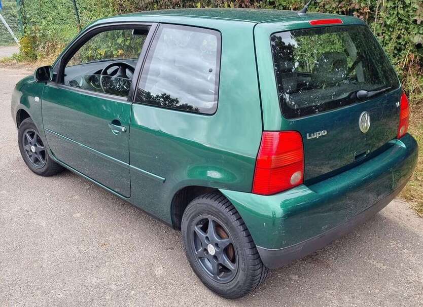 Lupo
