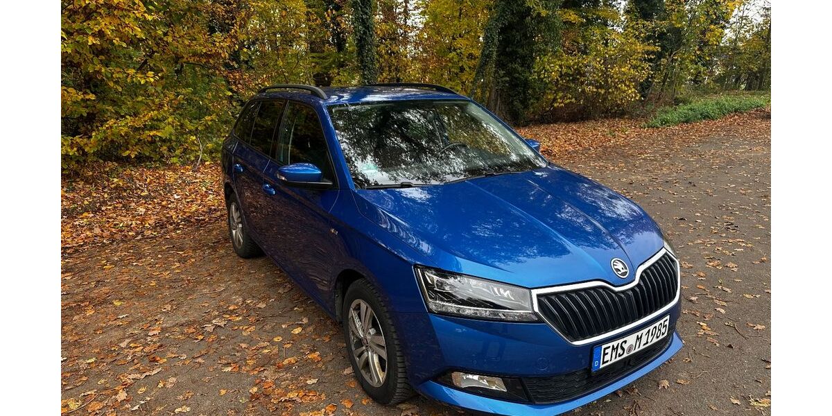 Skoda Fabia 110.000 km 9.900 € Geilnau 56379