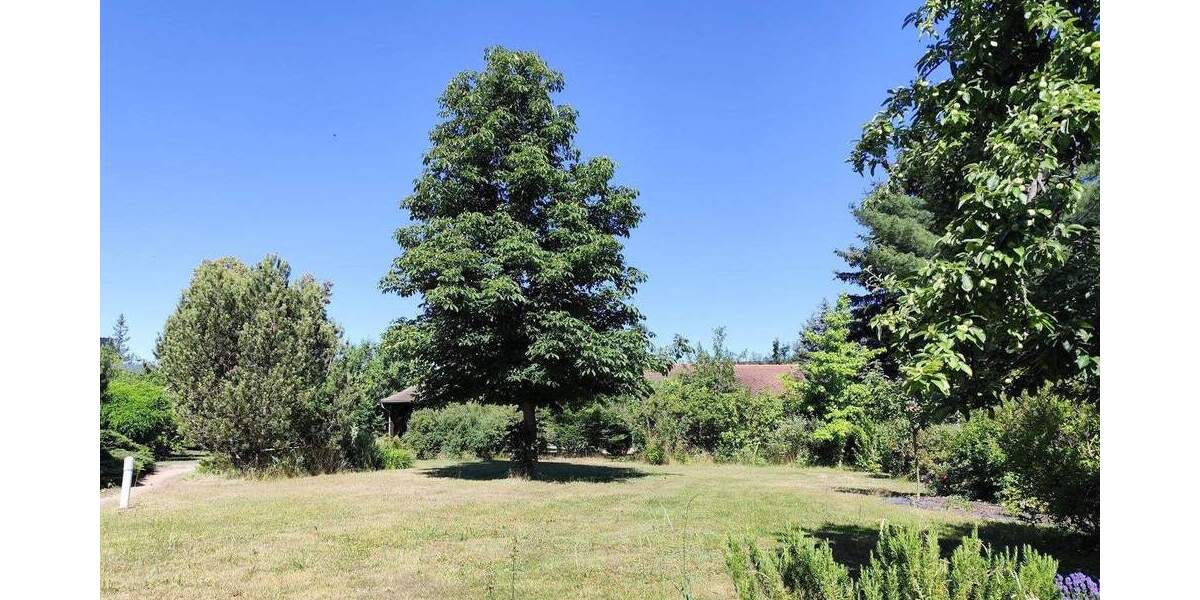 Einfamilienhaus Rothenburg Bremenhain - 7 Zimmer, 290 m&sup2;, 250.000&euro; | Angebot:25727957