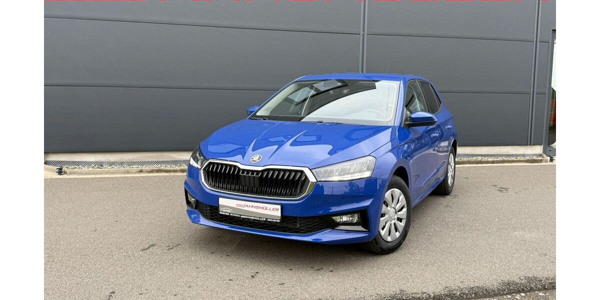Skoda Fabia 2.500 km 18.166 &euro; Quedlinburg OT Gernrode 06485