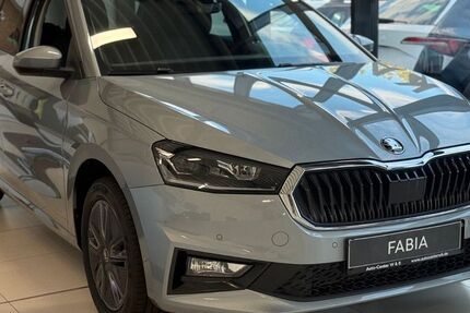 Skoda Fabia 3.000 km 22.990 &euro; Aalen-Essingen 73457