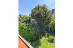 Etagenwohnung Bornheim Widdig - 2 Zimmer, 71 m&sup2;, 750&euro; | Angebot:26345631