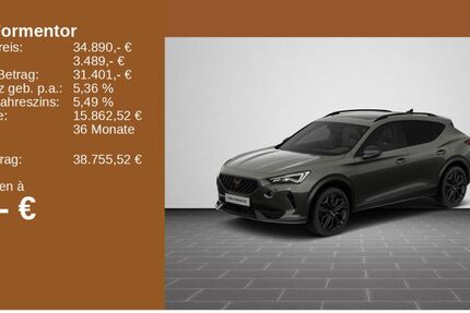 Cupra Formentor 20.189 km 34.890 &euro; Bingen / Rhein 55411