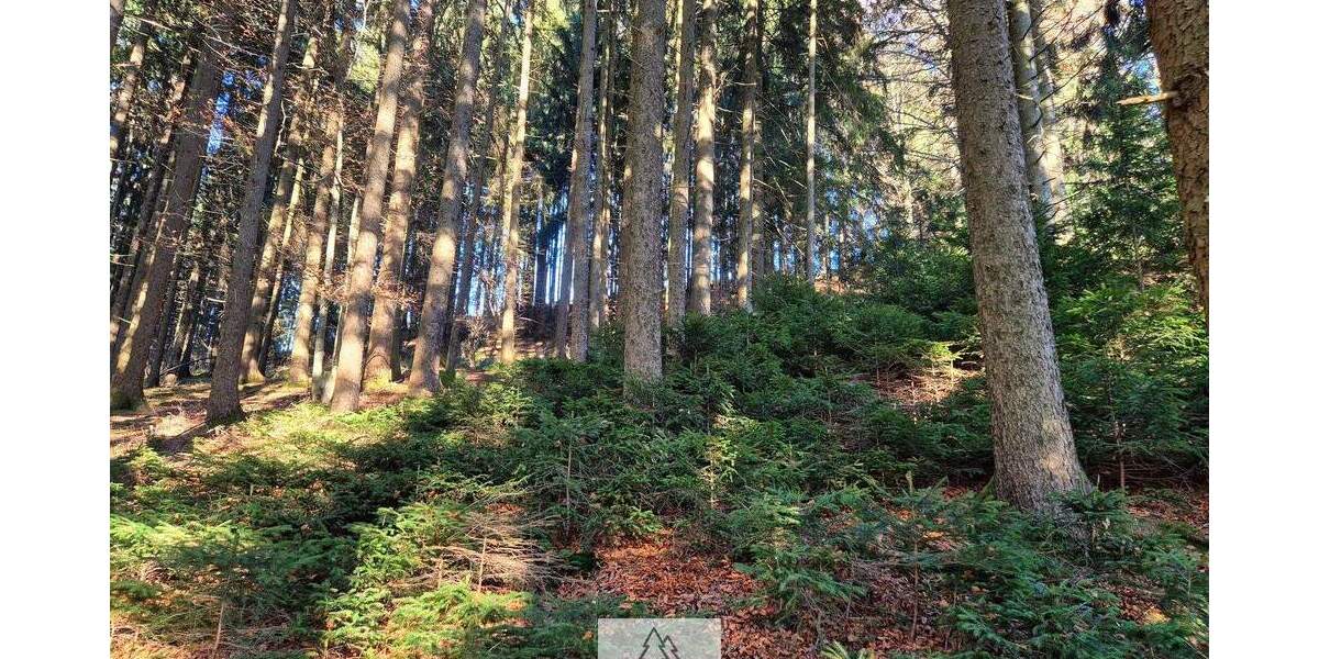 Grundstück Eggenthal Völken - 84.900&euro; | Angebot:25689866