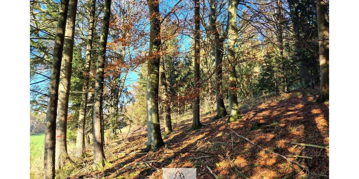 Grundstück Eggenthal Völken - 84.900&euro; | Angebot:25689866