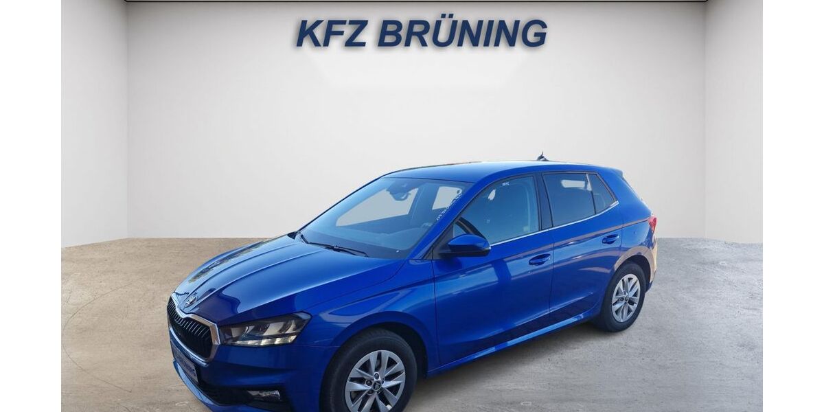 Skoda Fabia 28.279 km 18.880 &euro; Lingen (Ems) 49811