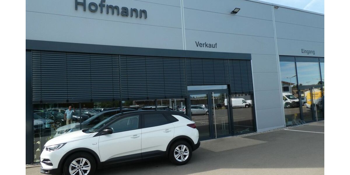Opel Grandland (X) 115.250 km 14.950 &euro; Bad Saulgau 88348