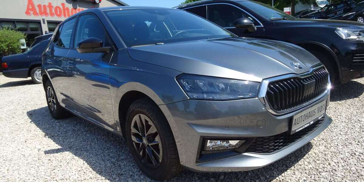 Skoda Fabia 11.483 km 15.700 &euro; Rosendahl 48720