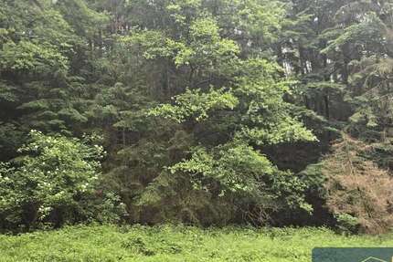 Grundstück zu verkaufen in Regenstauf 400.000 € 80000 m² zimmer