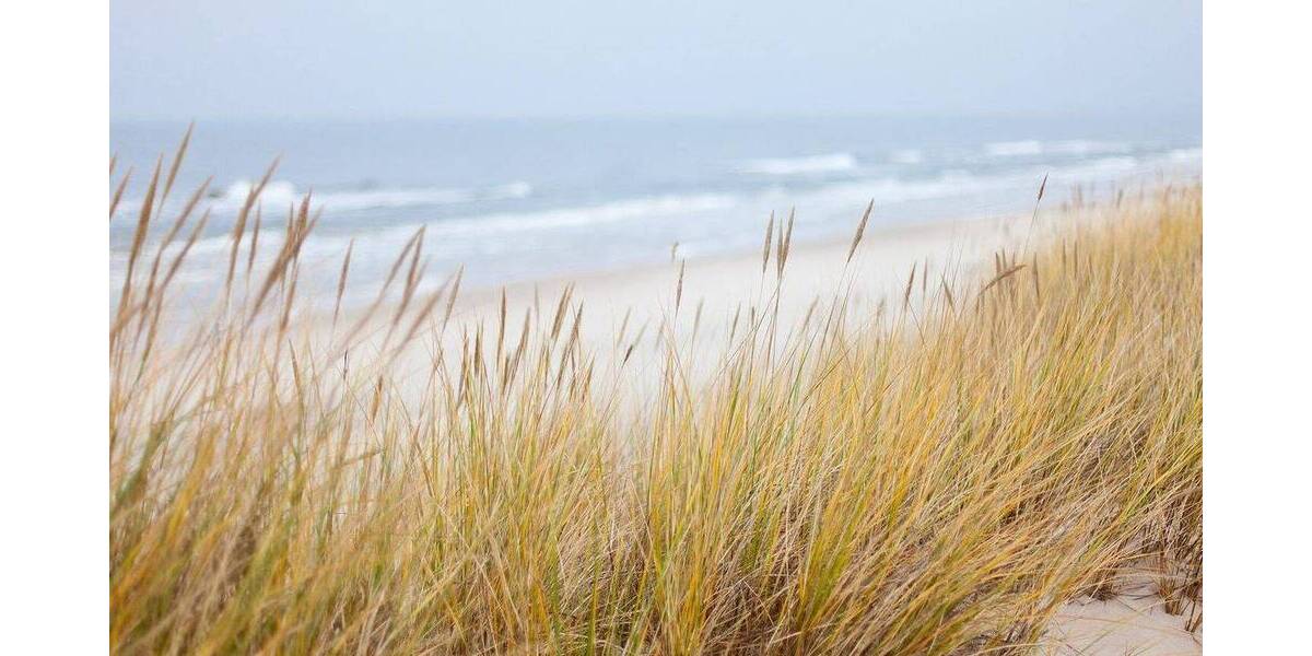 Etagenwohnung Klütz Tarnewitzerhagen - 3 Zimmer, 68 m&sup2;, 179.900&euro; | Angebot:25910531