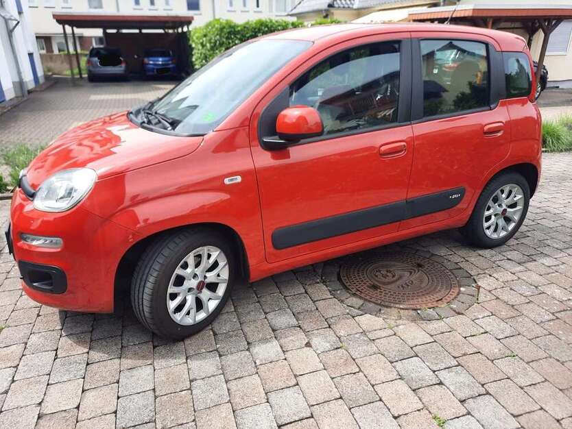 Panda