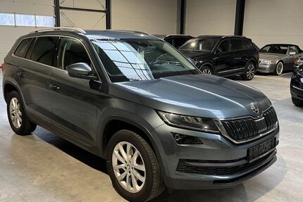 Skoda Kodiaq 202.000 km 18.088 &euro; Neuenhaus 49828