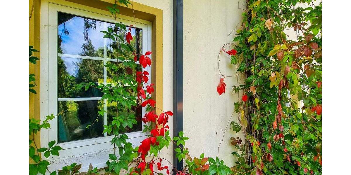 Reihenendhaus Brandis Polenz - 4 Zimmer, 171 m&sup2;, 429.000&euro; | Angebot:25834934