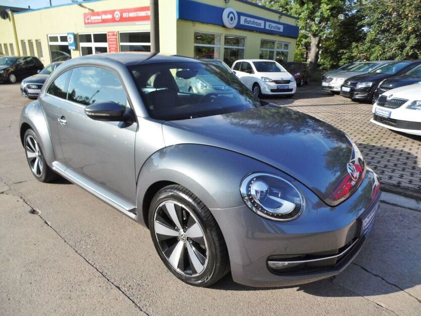 Beetle