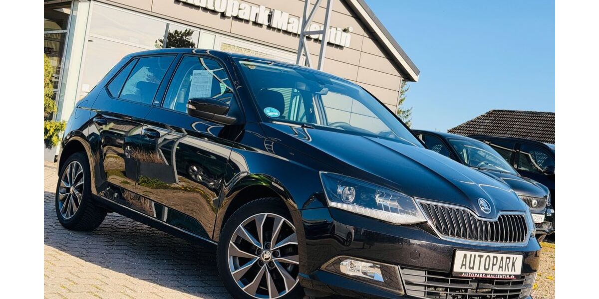 Skoda Fabia 119.500 km 7.885 &euro; Stepenitztal 23936