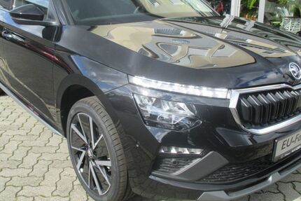 Skoda Kamiq 4.800 km 29.980 &euro; Erlangen 91052