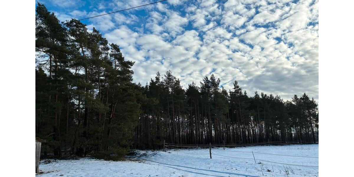 Grundstück Klötze - 15.000&euro; | Angebot:24832010