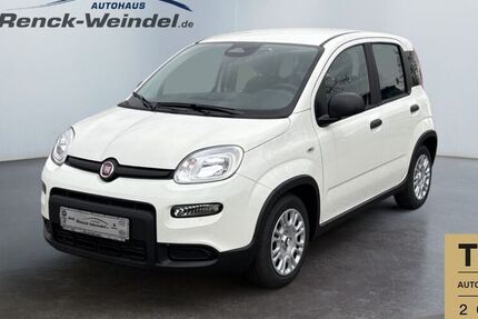 Fiat New Panda