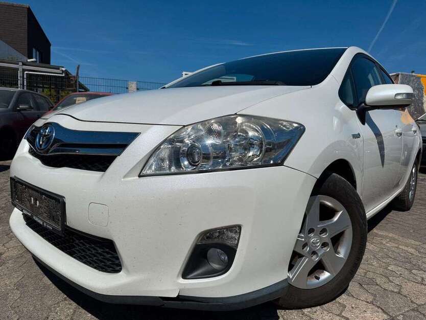 Auris