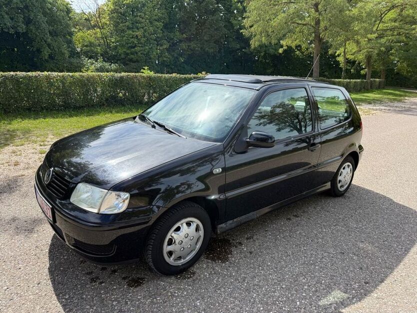 Polo