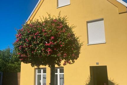 Einfamilienhaus mit 980 qm Grundstück in der Altstadt von Barth 5 zimmer