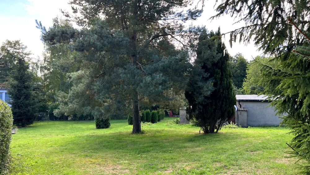 Exclusives Grundstück in grüner ruhiger Lage - Grundstück Mittweida | Angebot:8609997