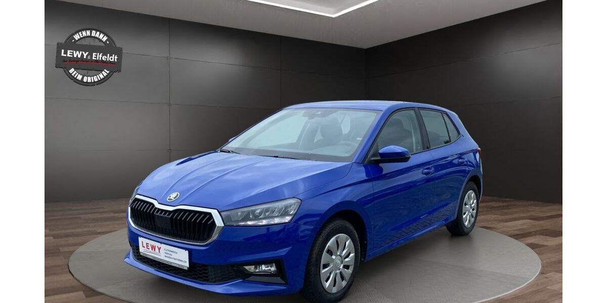 Skoda Fabia 31.000 km 13.900 &euro; Elsterwerda 04910