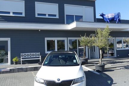 Skoda Rapid 94.000 km 8.500 € Magdeburg 39108